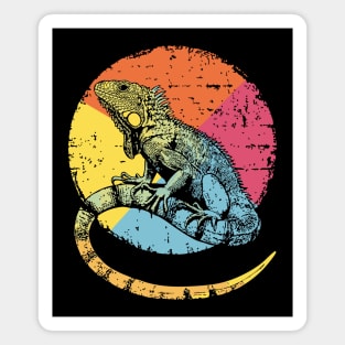 Artistic Iguana Retro Pop Art | Circle Lizard Design Magnet